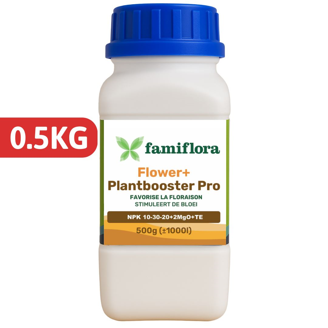 Famiflora fertilizer for indoor & outdoor plants - 500 g