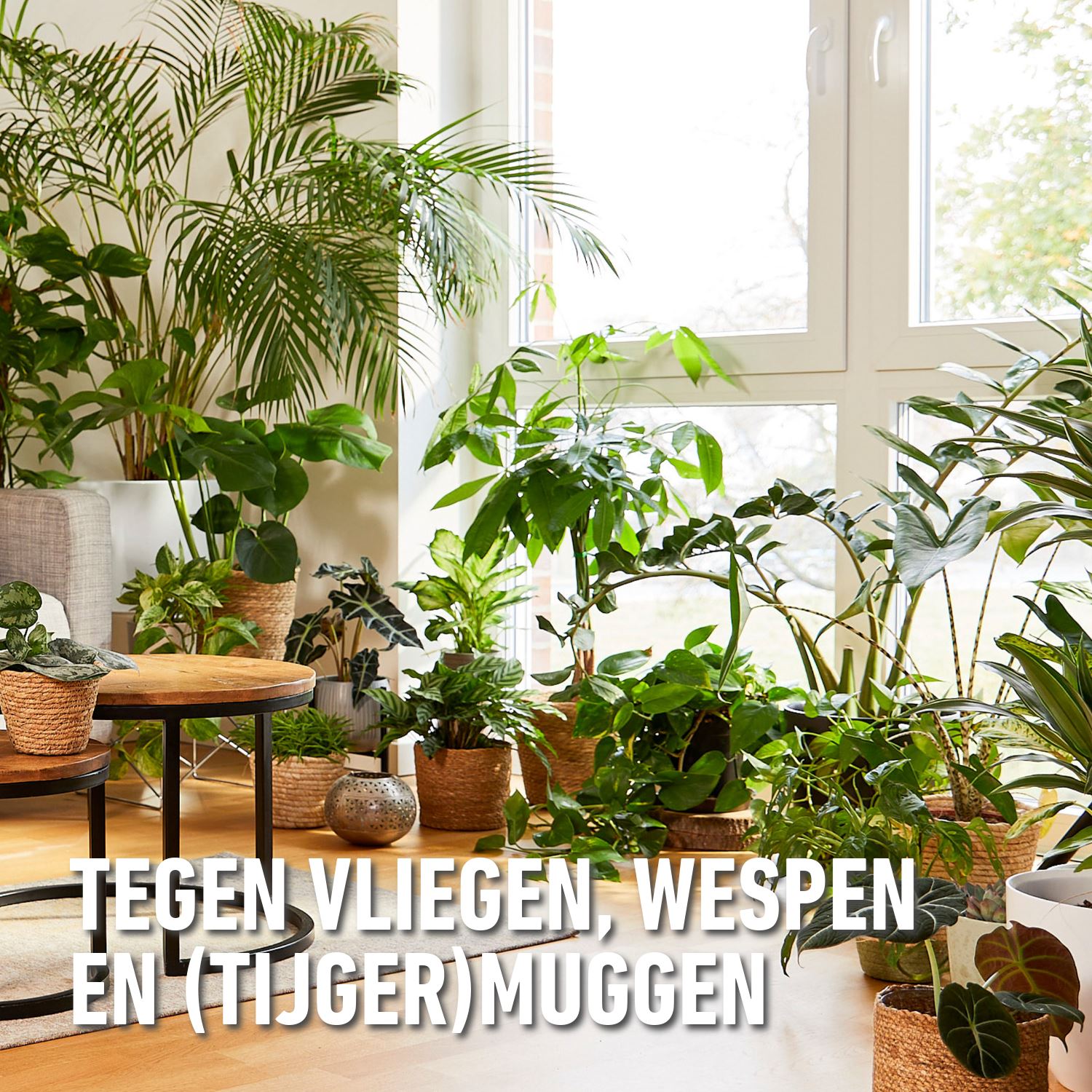 Barriere-insect-k-o-spray-vliegende-insecten-400ml