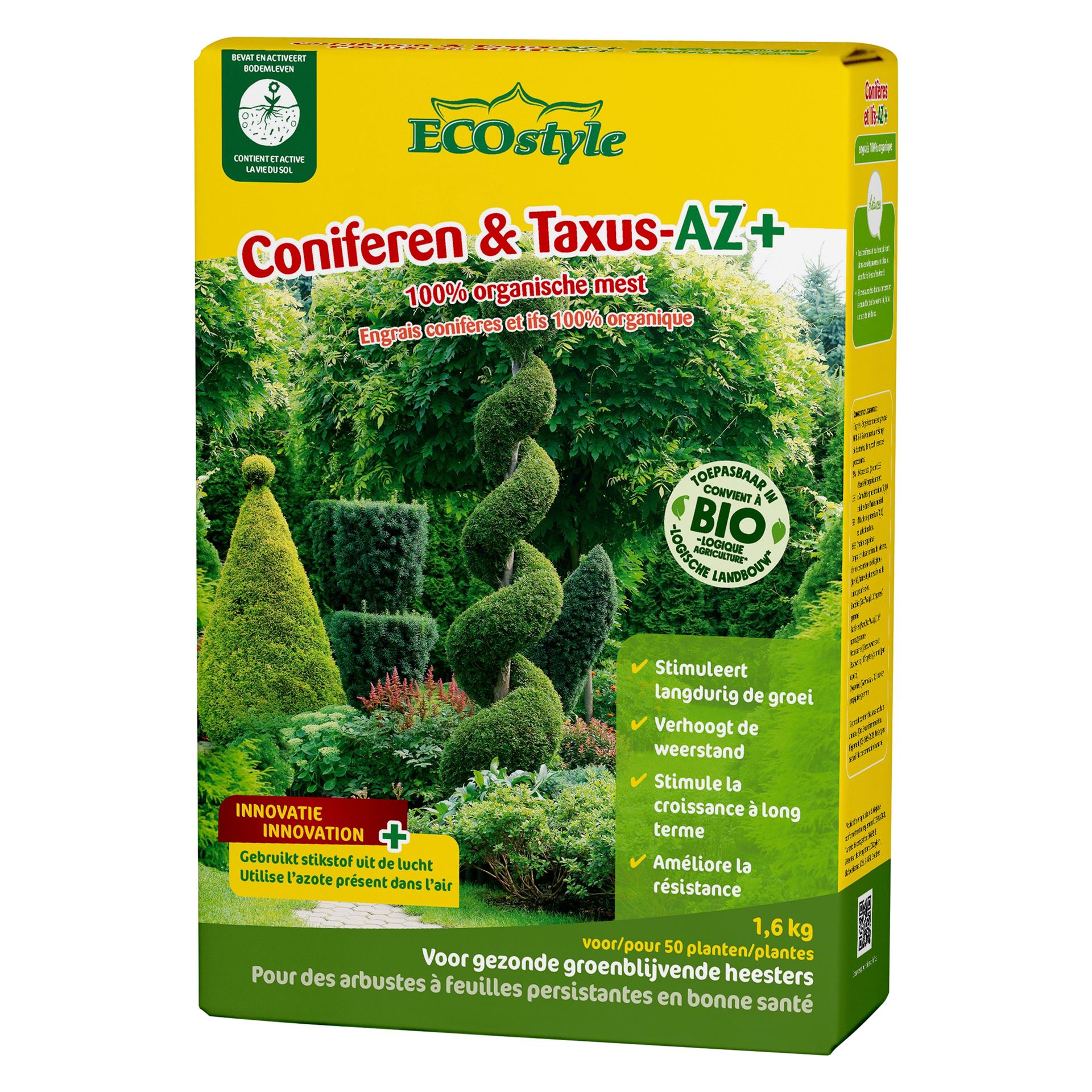 Coniferen-Taxus-AZ-1-6-kg