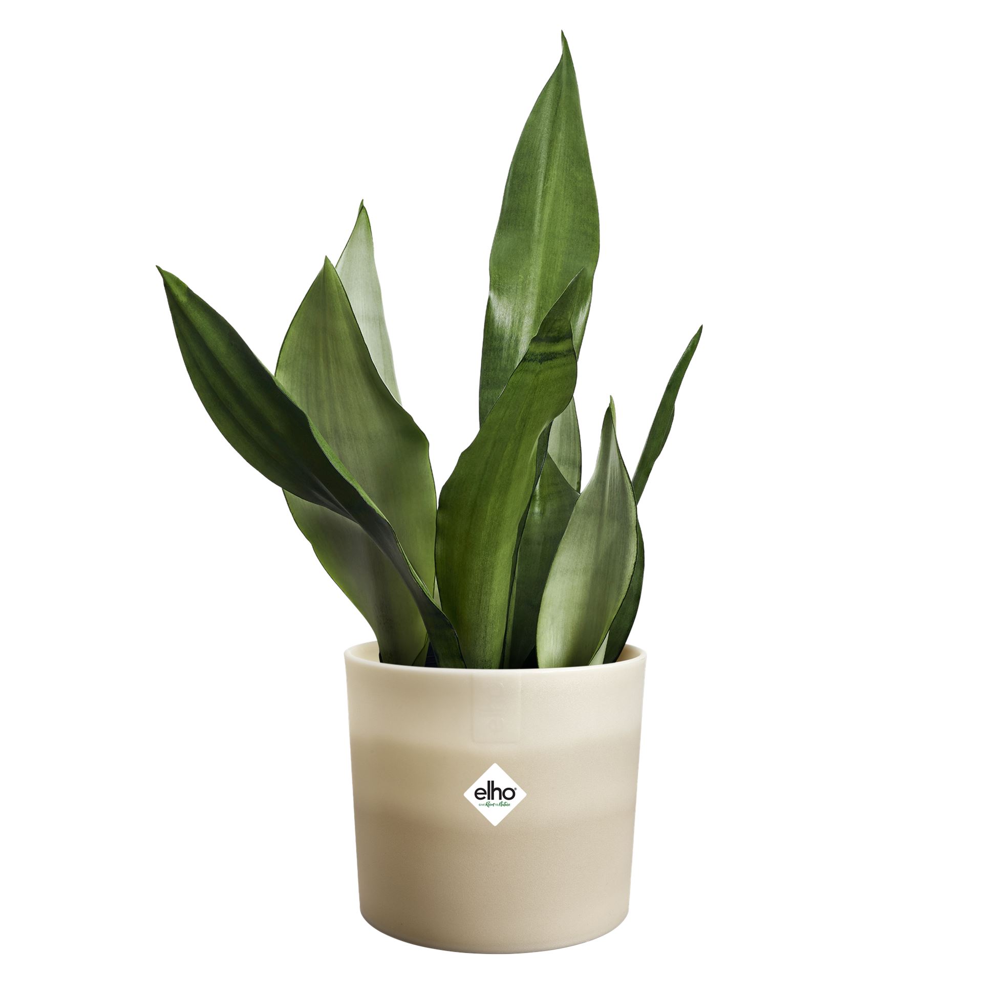 Elho-Colour-Gradiant-Rond-18cm-Bloempot-voor-Binnen-100-Gerecycled-Plastic-18-2x-H16-8cm-B