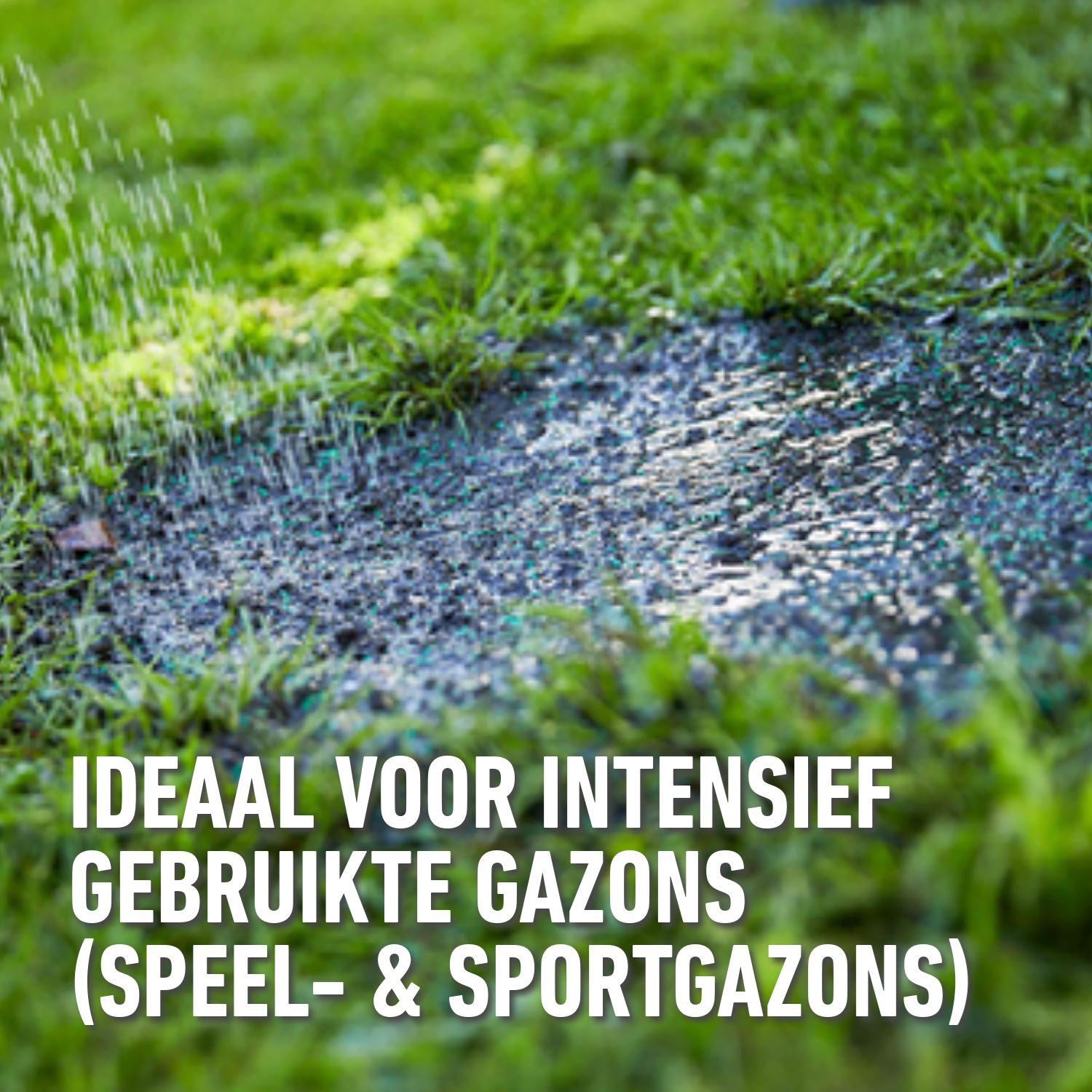 Compo-gazonzaad-sport-spel-2kg