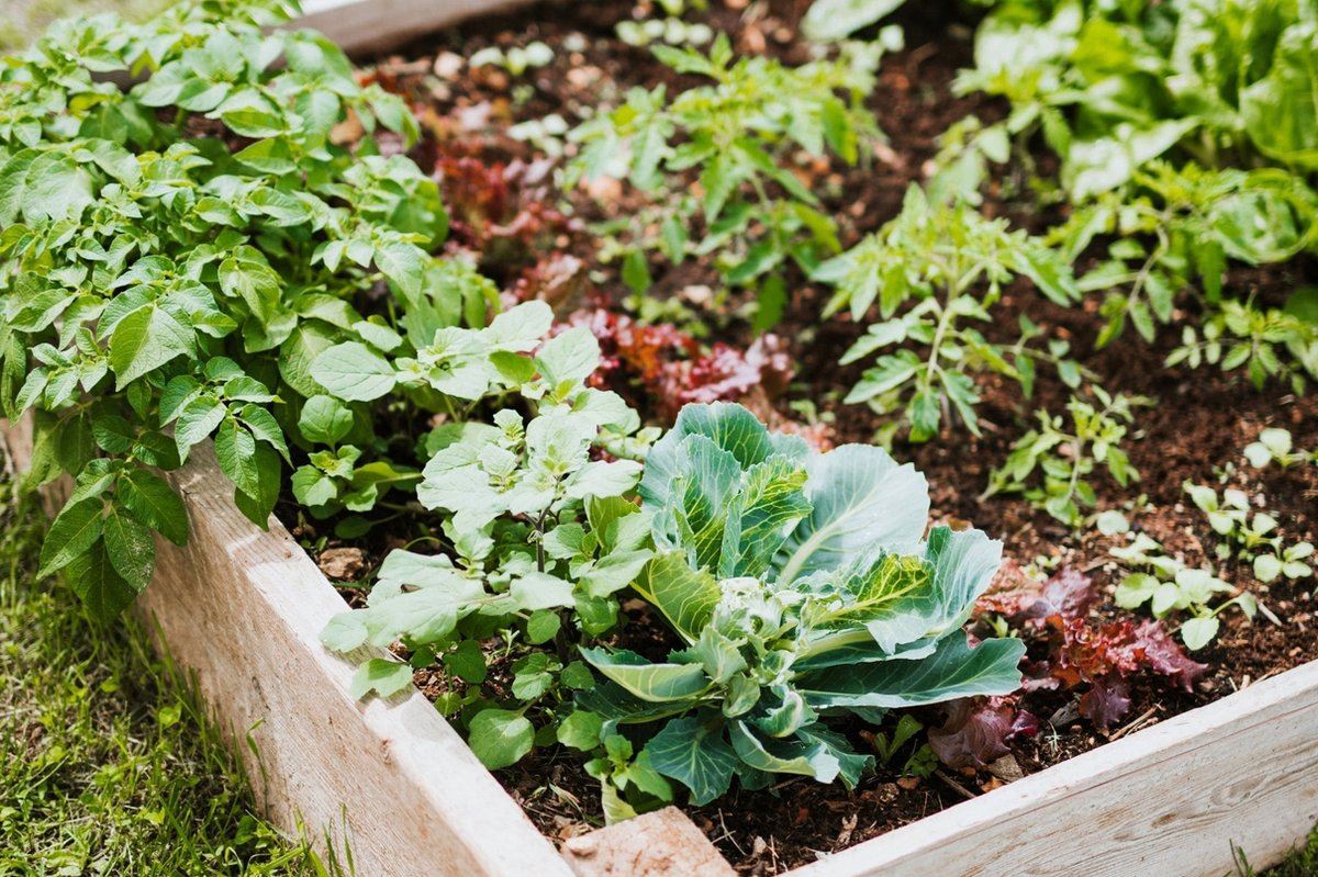 Aaltjes-FC-tegen-miljoenpoot-10-mln-60-m2