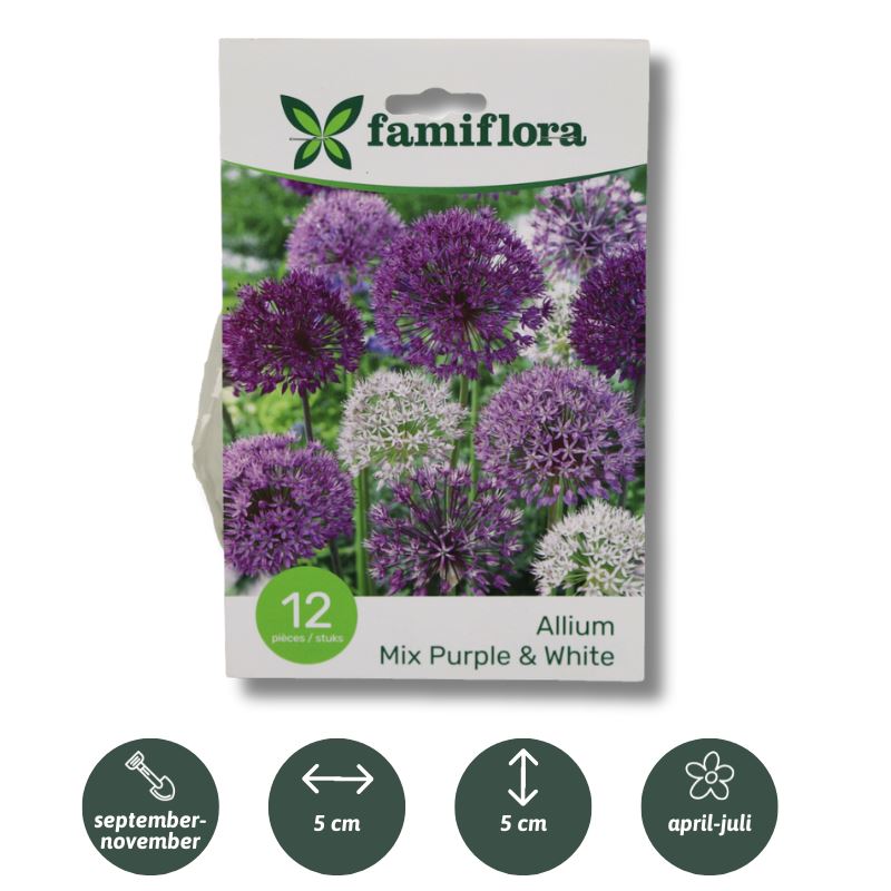 Allium-mix-paars-wit-per-12-10-12