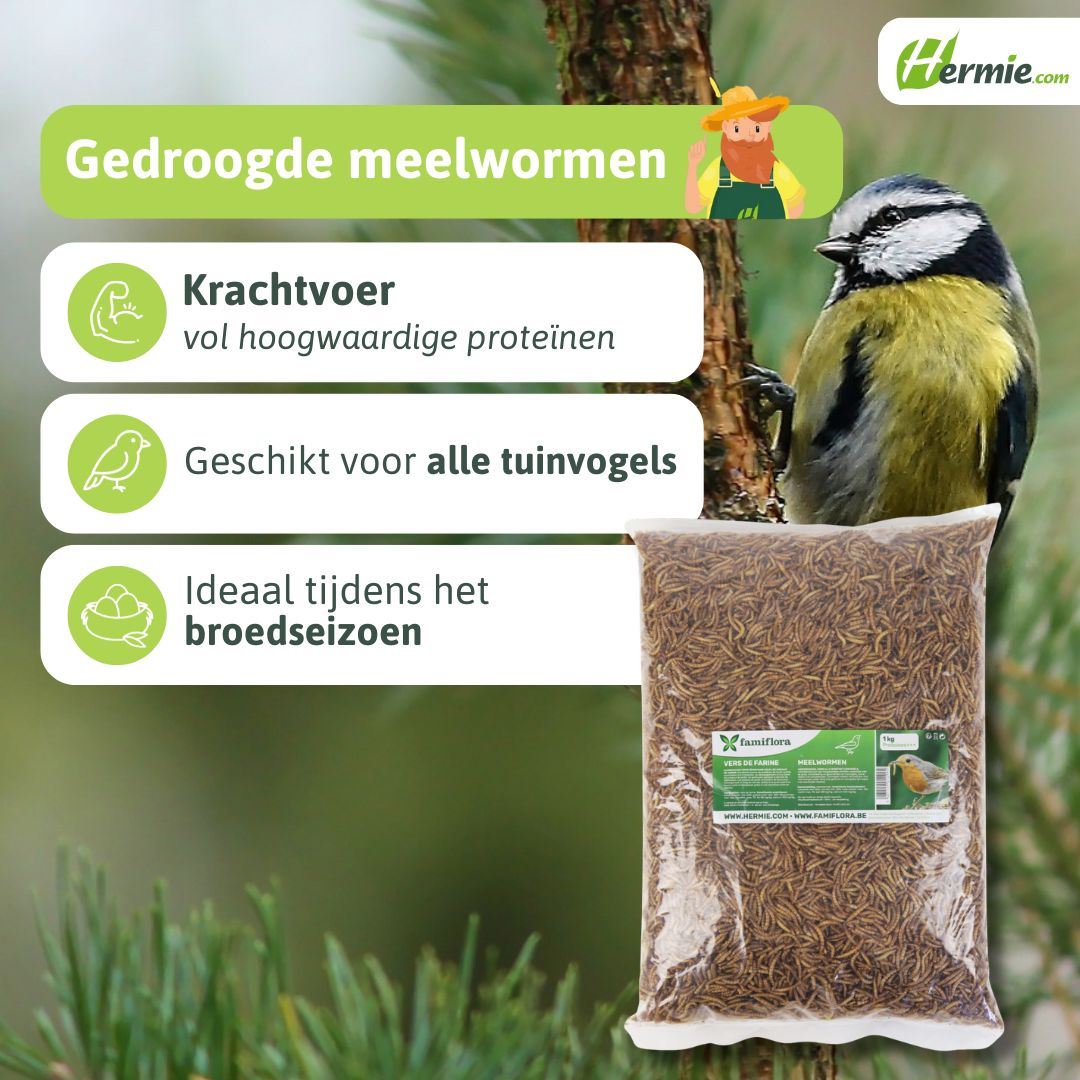meelwormen-zak-1kg-6L