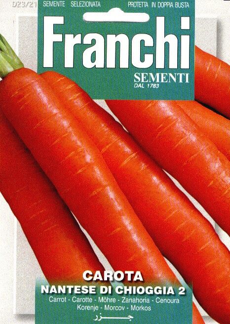 Fr-Wortelen-Carota-Nantes-2-23-7