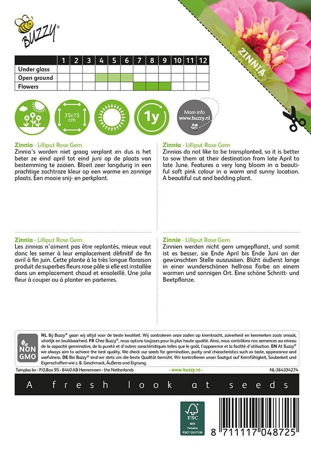 Buzzy-Zinnia-elegans-Lilliput-Rose-Gem