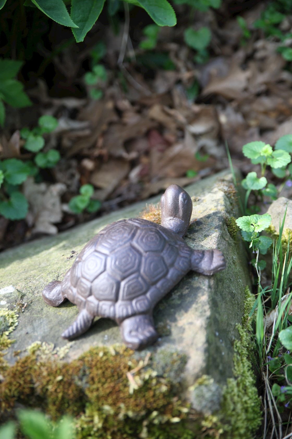 Schildpad-gietijzer-Large