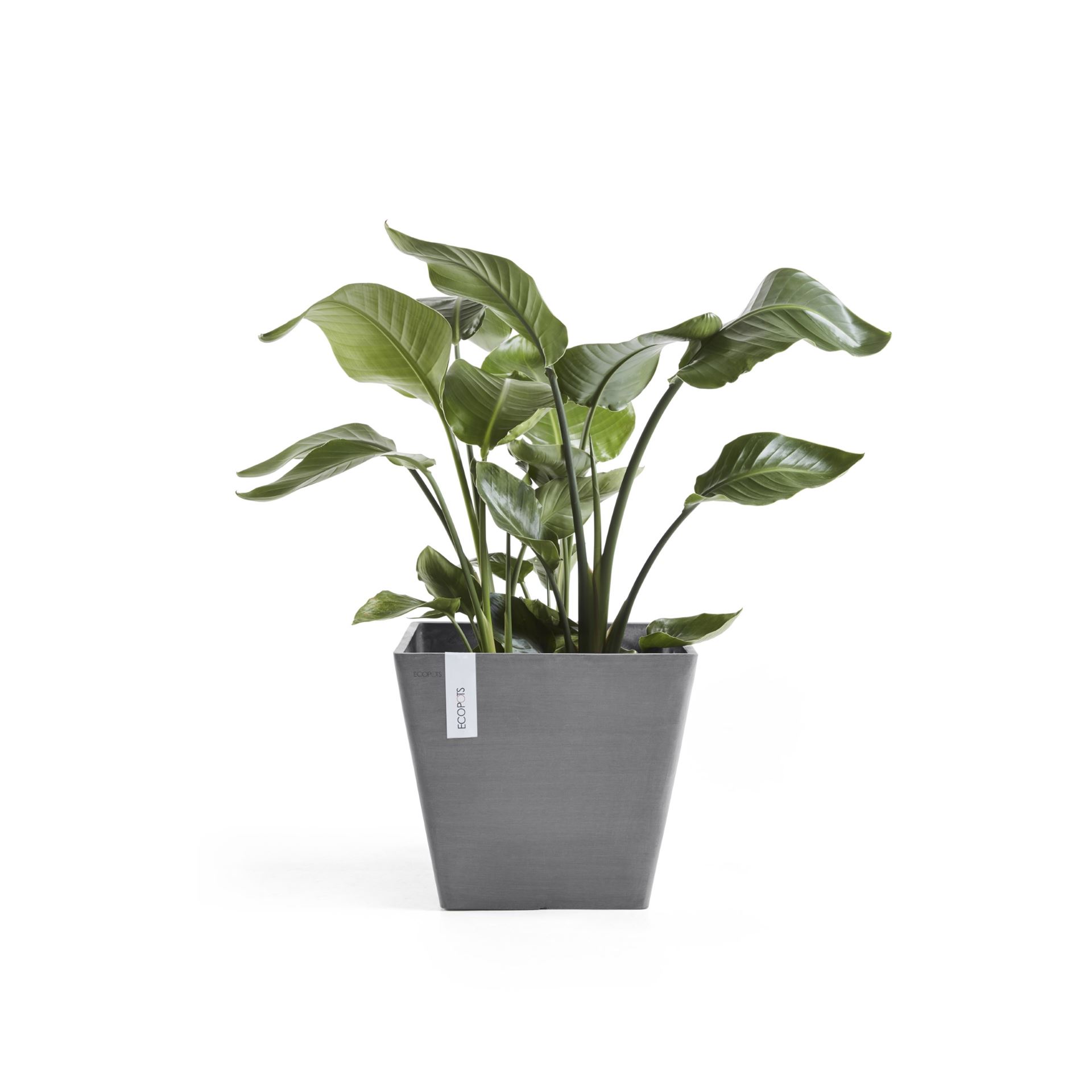 Ecopots-rotterdam-grey-LBH-40x40x35-cm