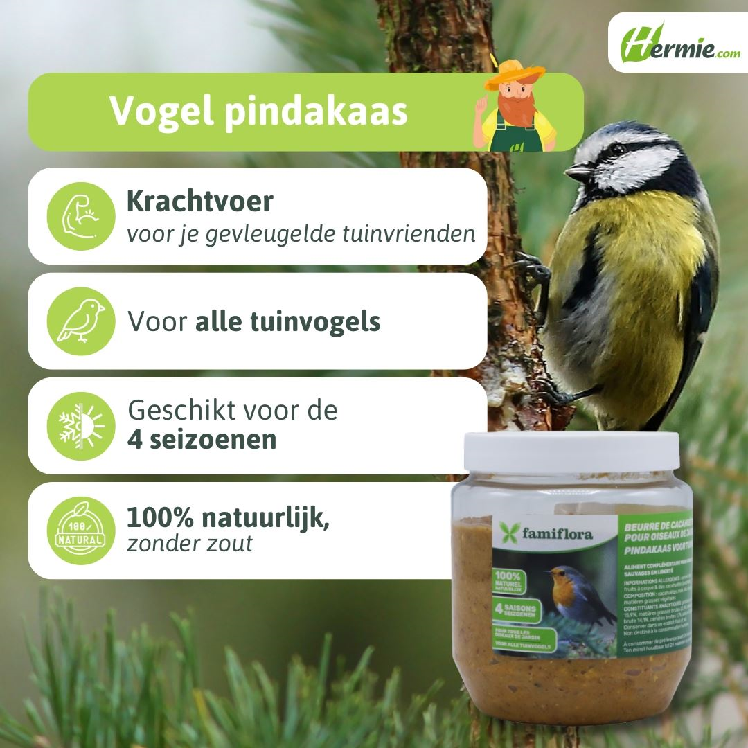 Famiflora peanut butter for garden birds nature - 350 gr - Bird peanut butter