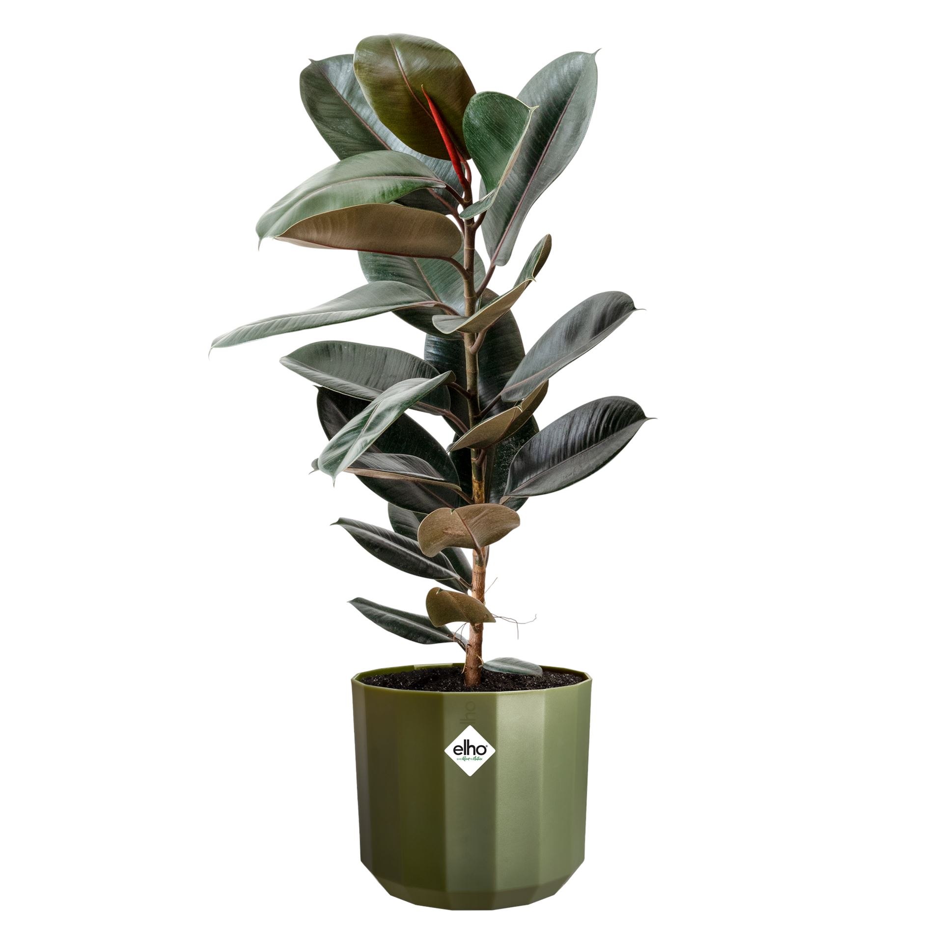 Elho-facet-rond-26cm-bos-groen-Bloempot-voor-Binnen-100-Gerecycled-Plastic-26x-H23cm