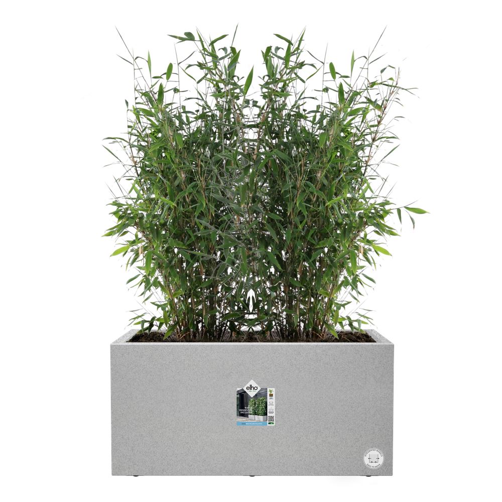 vivo-next-lang-60cm-living-concrete