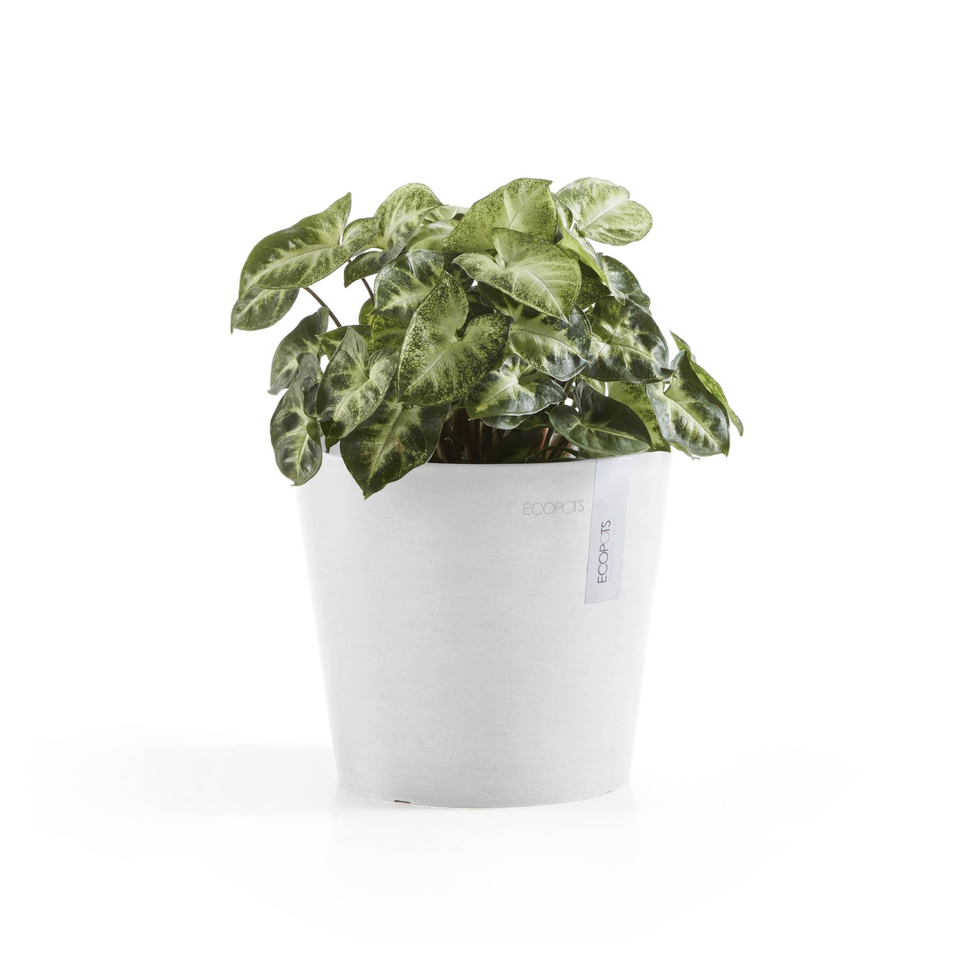 Ecopots-amsterdam-mini-pure-white-17-cm-H14-9-cm