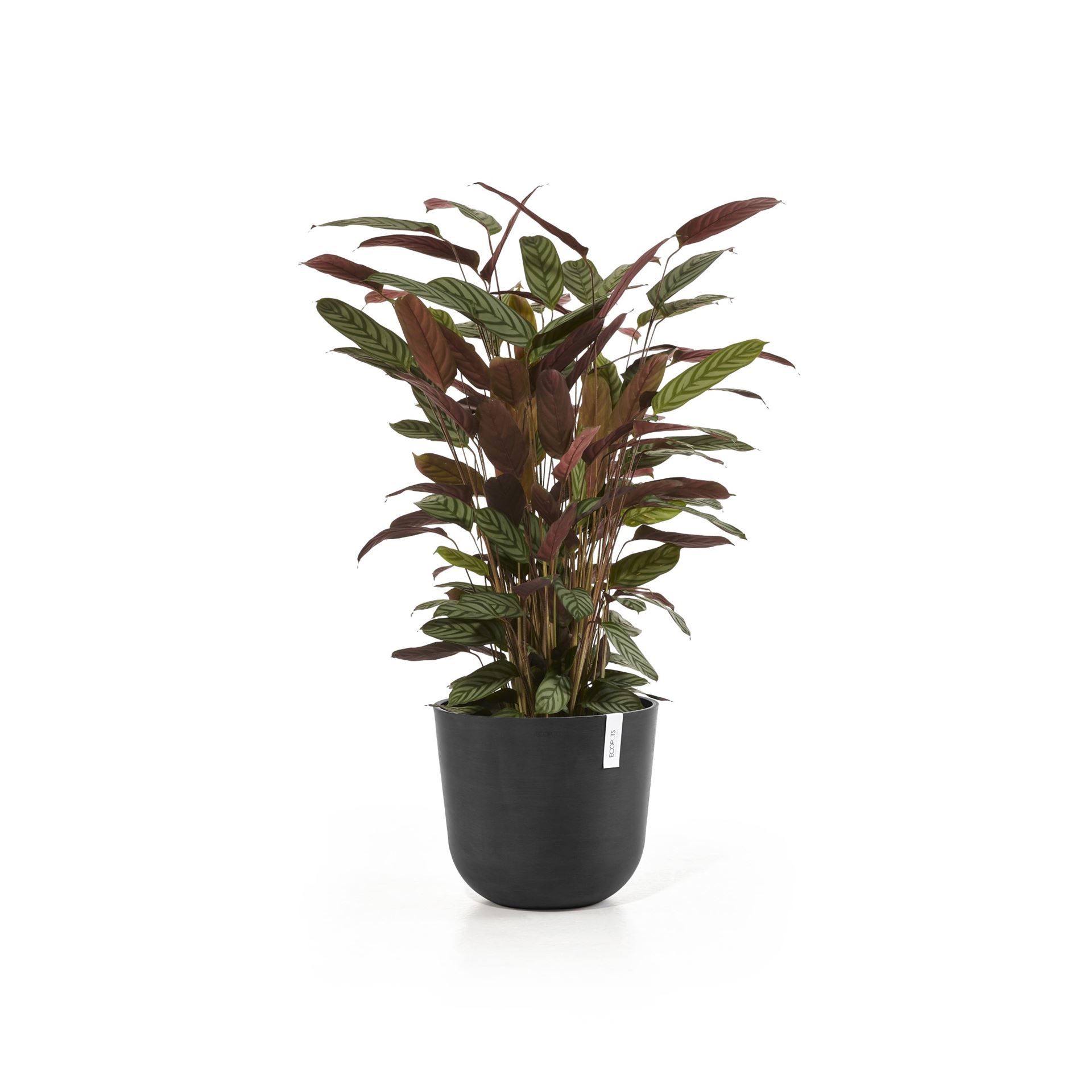 Ecopots-oslo-dark-grey-35-cm-H30-5-cm