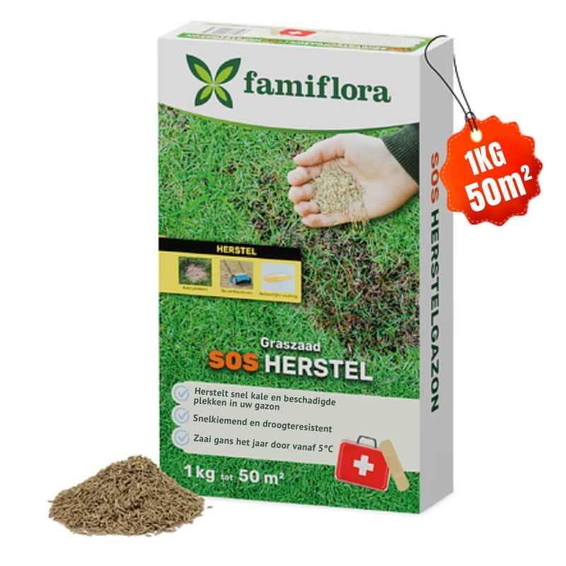 Famiflora grass seed 1kg to 50m² - SOS repair lawn - fast recovery bald spots