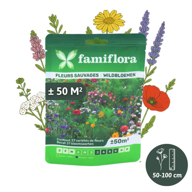 Famiflora wildflower mixture flower seeds - up to 50m²