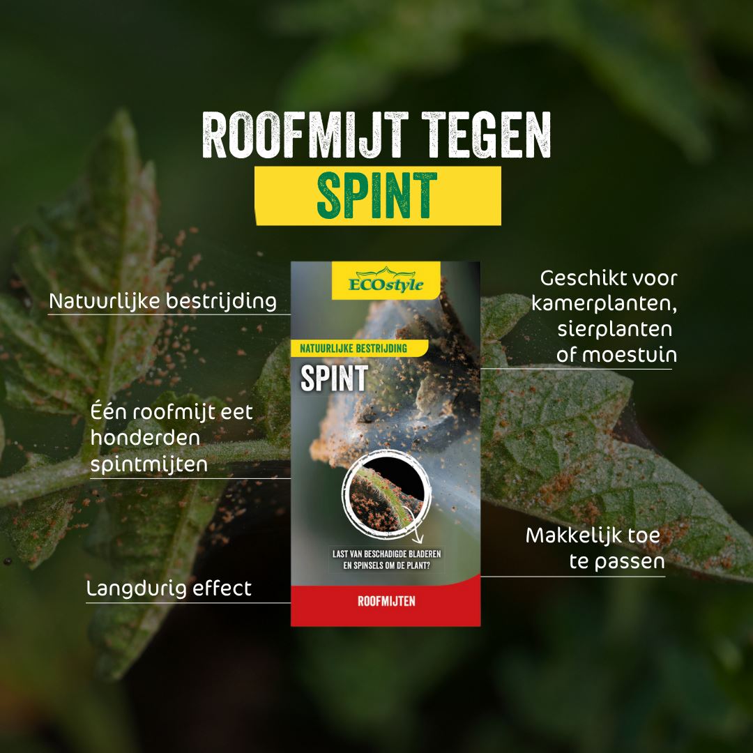 Roofmijt-tegen-spint-1-000-st-