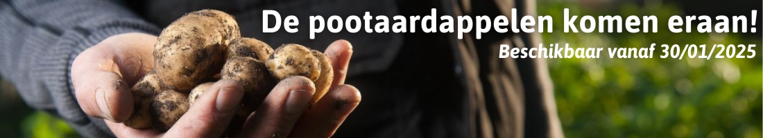 pootaardappelen