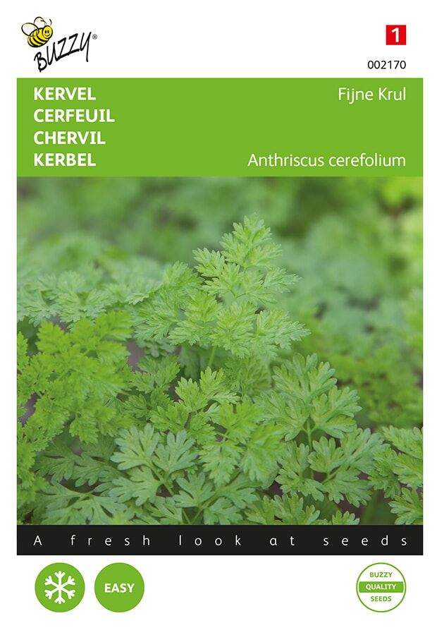 Chervil Fine Curl