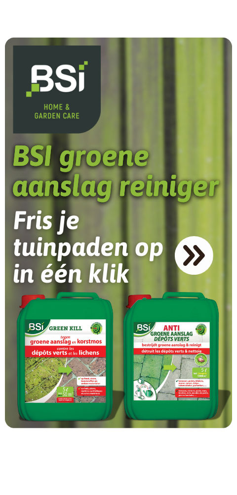 TW_BSI_aanslagreiniger_BE