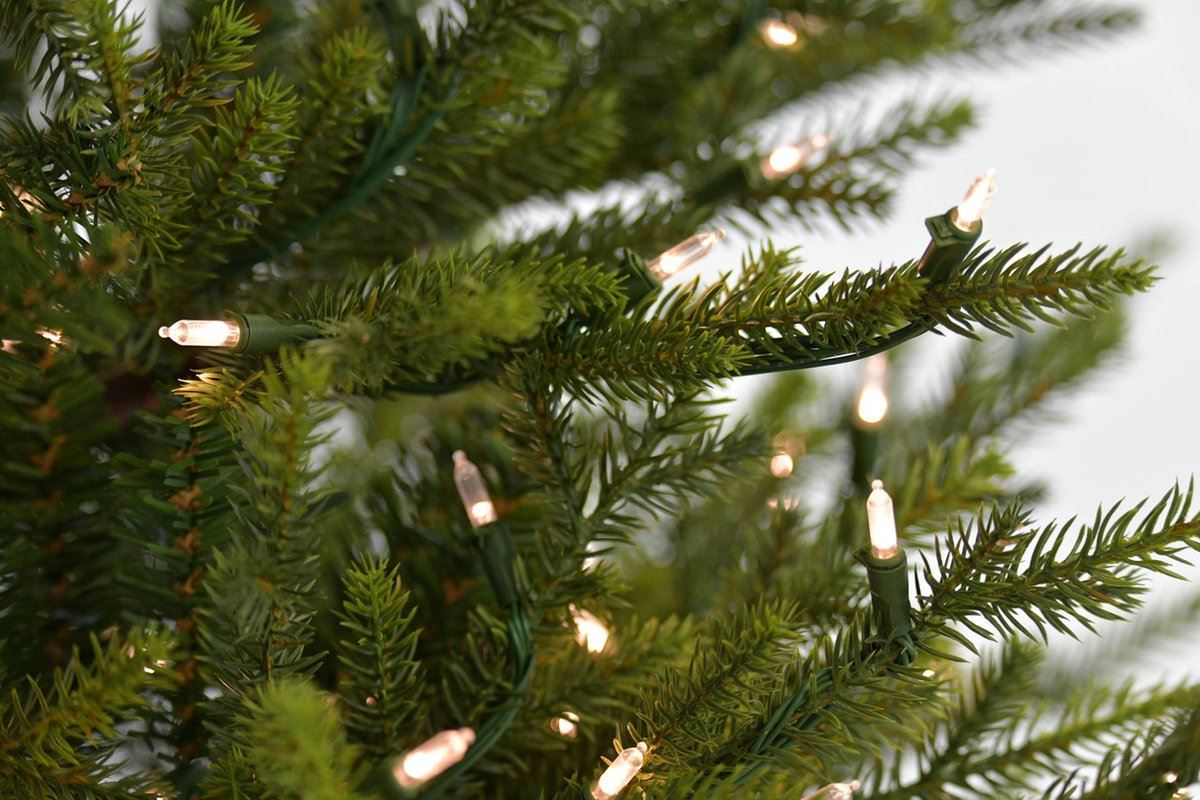 Sami-Mountain-Spruce-Wood-DB-Base-183cm-500L-PTP