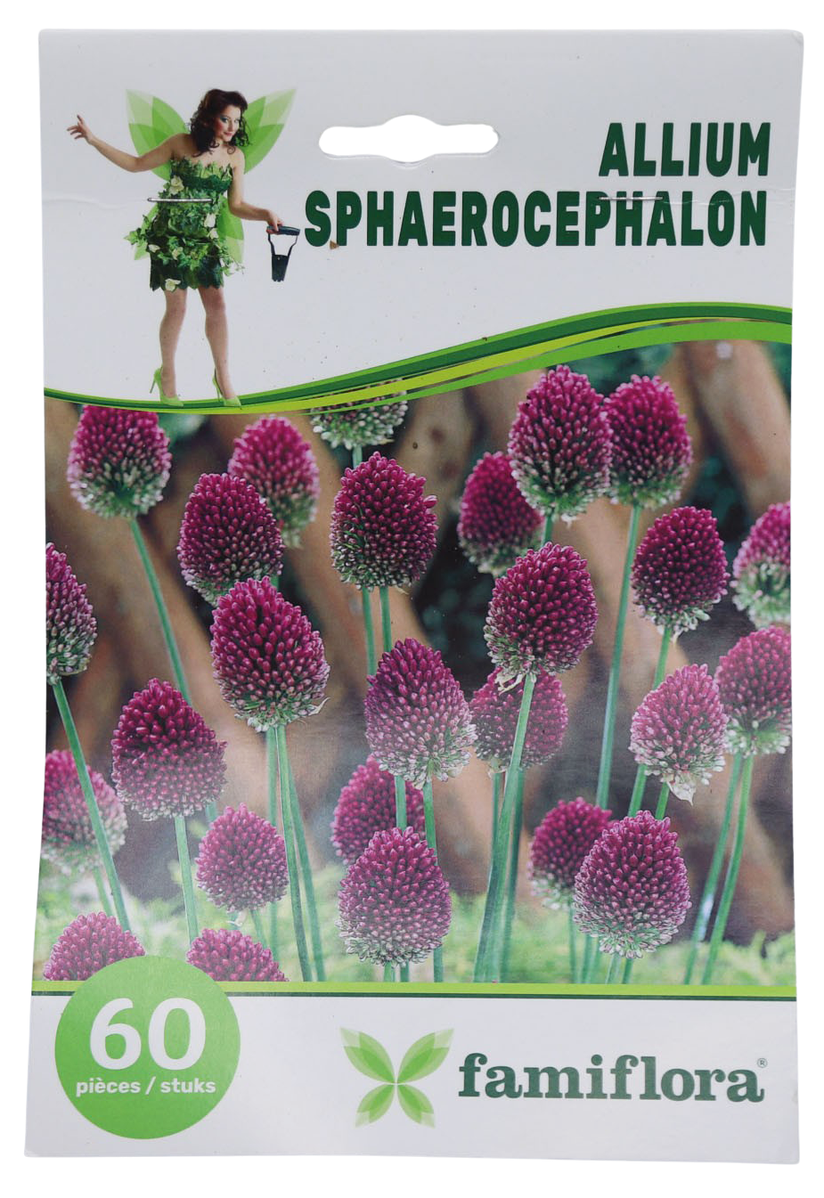 Famiflora Allium Sphaerocephalon - 60 bloembollen - Grootte 5/6 - Voorjaarsbloeiers