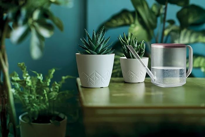 Watering-can-IKTU10-Tubi-pine-green