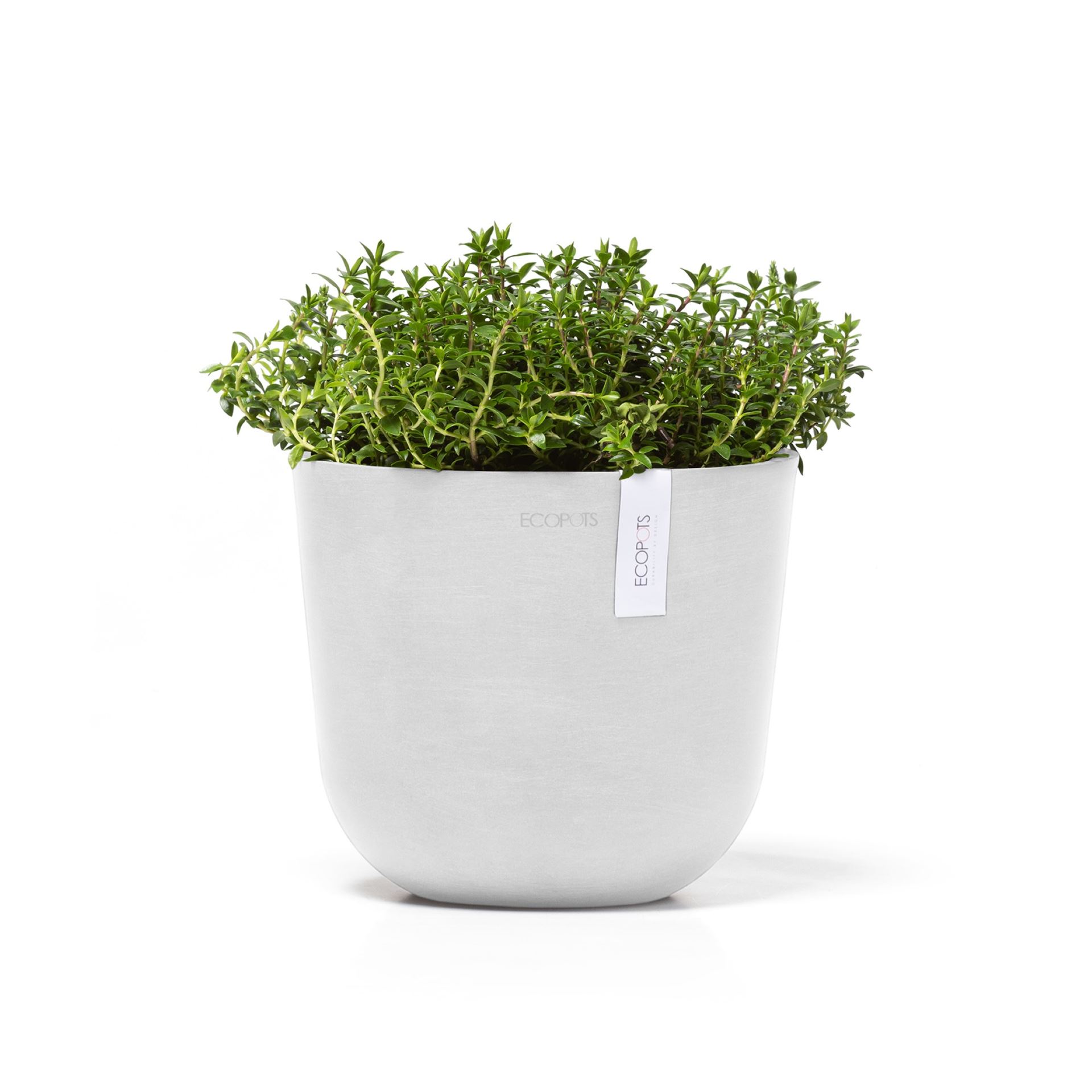 Ecopots-oslo-mini-pure-white-19-cm-H16-5-cm