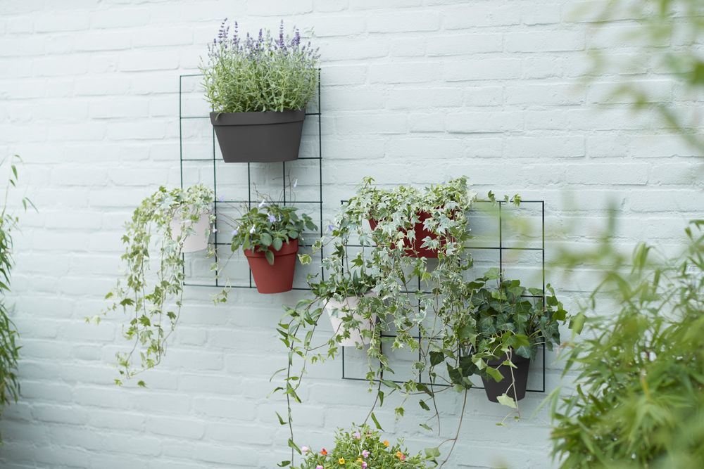 loft-urban-green-wall-rek-living-black