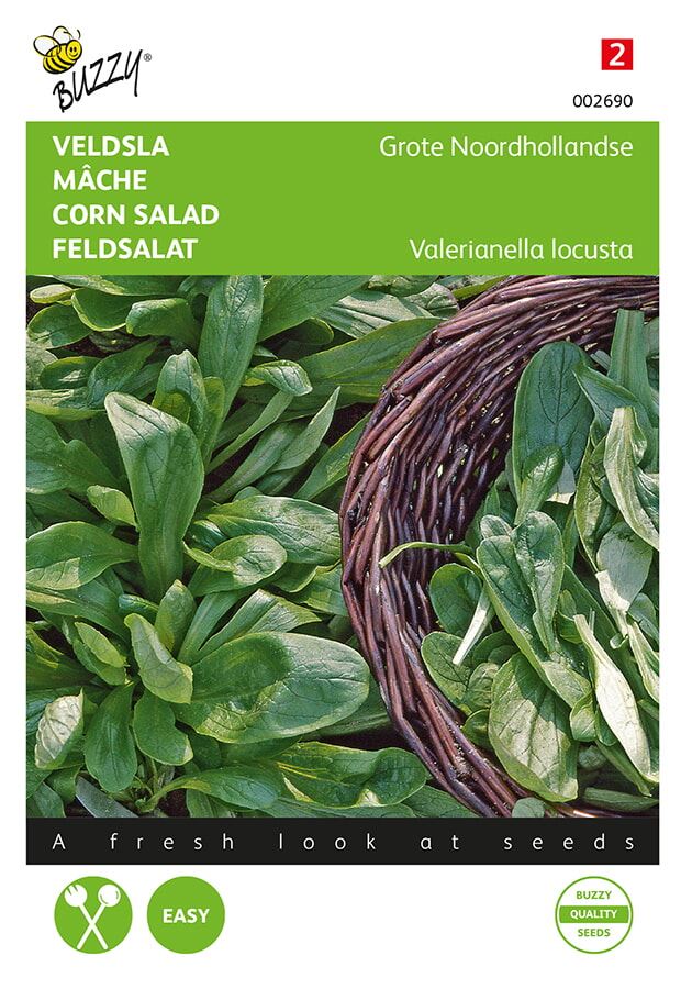 Buzzy® Graines de salade de maïs - Grandes graines de Hollande du Nord
