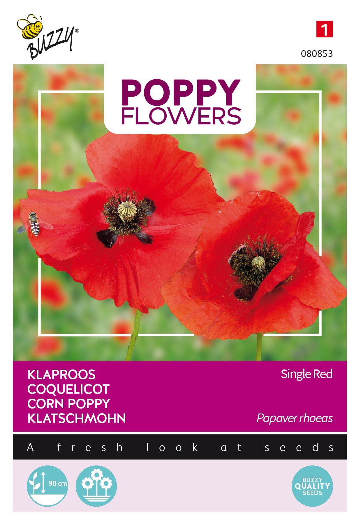 Buzzy-Poppies-of-the-world-Klaproos-Rhoeas-Rood