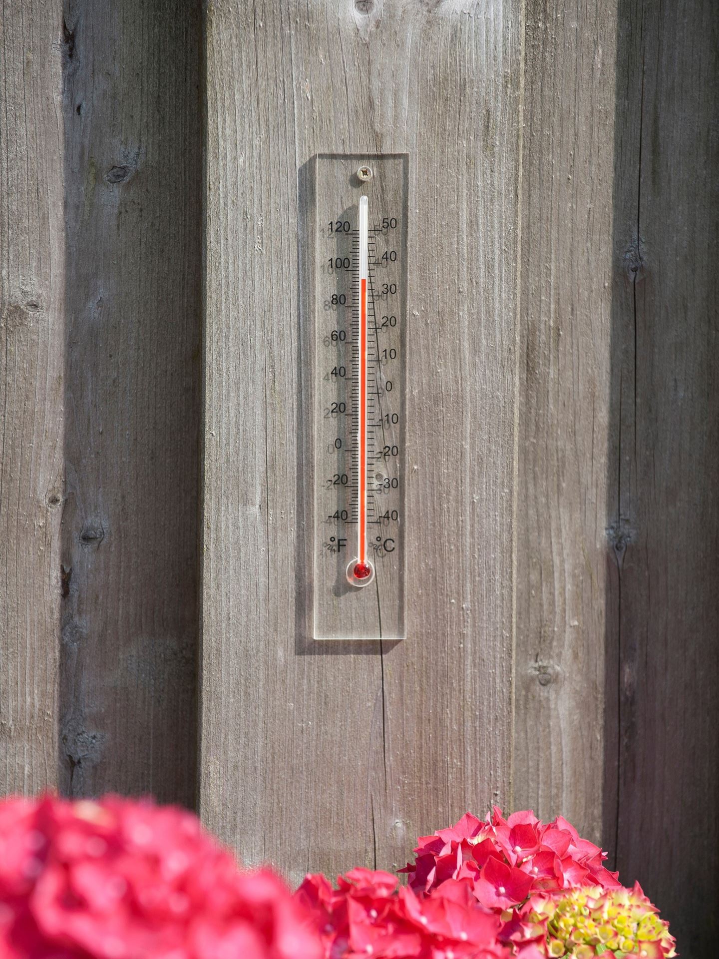 Muurthermometer-plexiglas-21x4x0-8cm