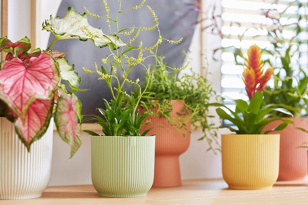 Bloempot-Vibes-fold-rond-16cm-Sorbet-groen