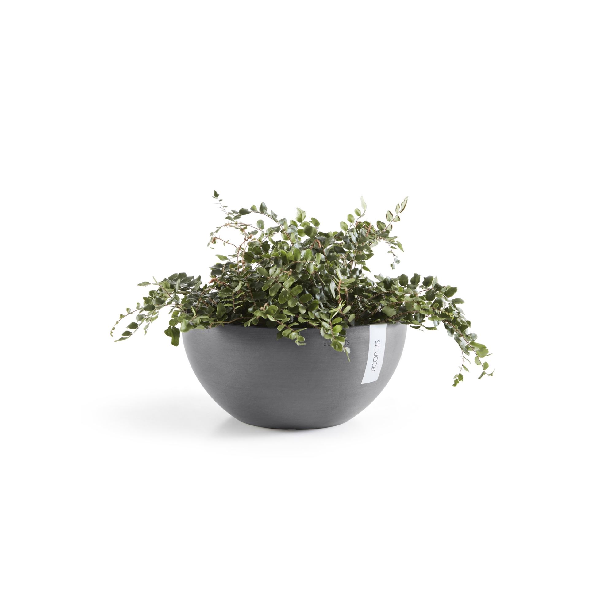 Ecopots-brussels-grey-30-cm-H14-cm
