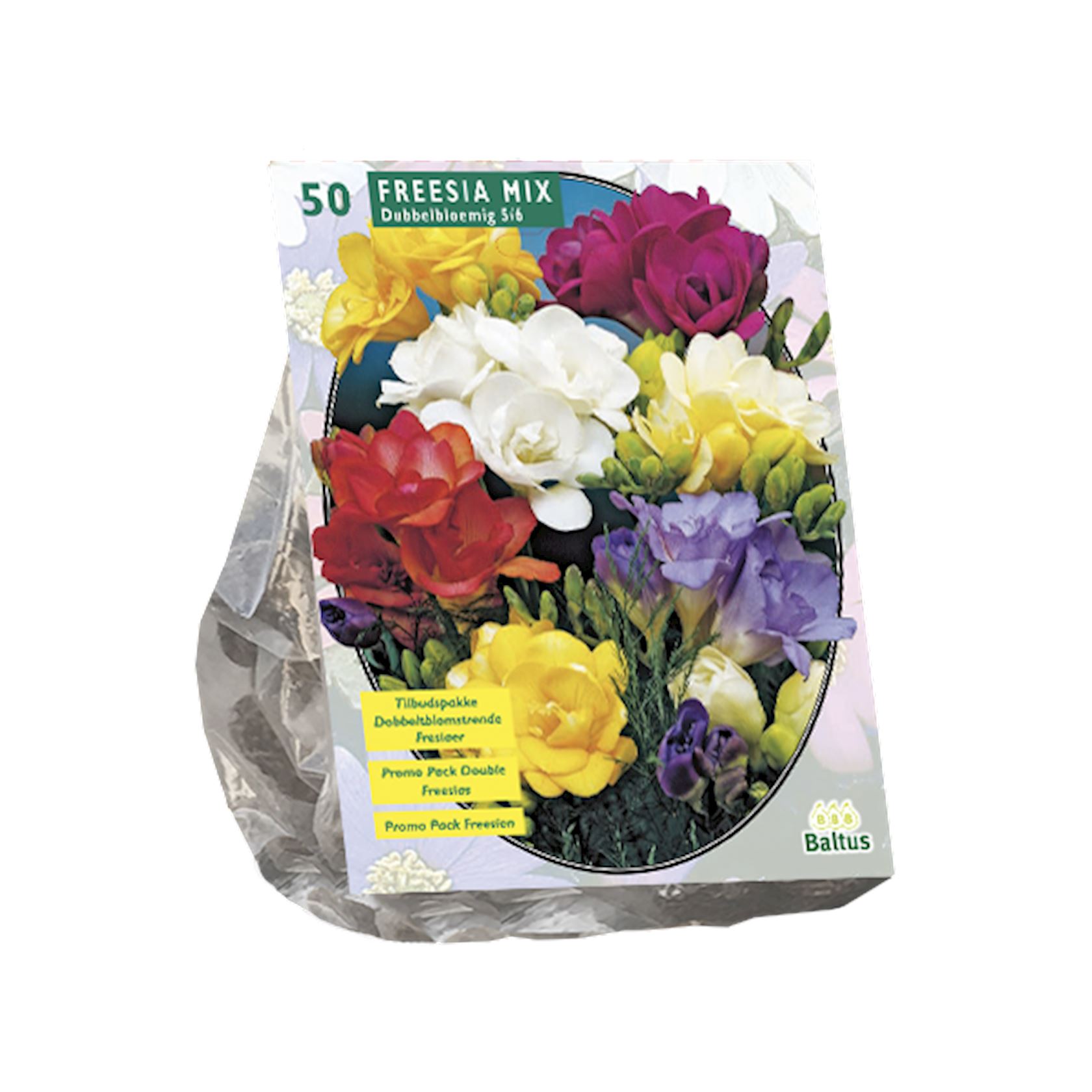 freesia-double-mix-per-50
