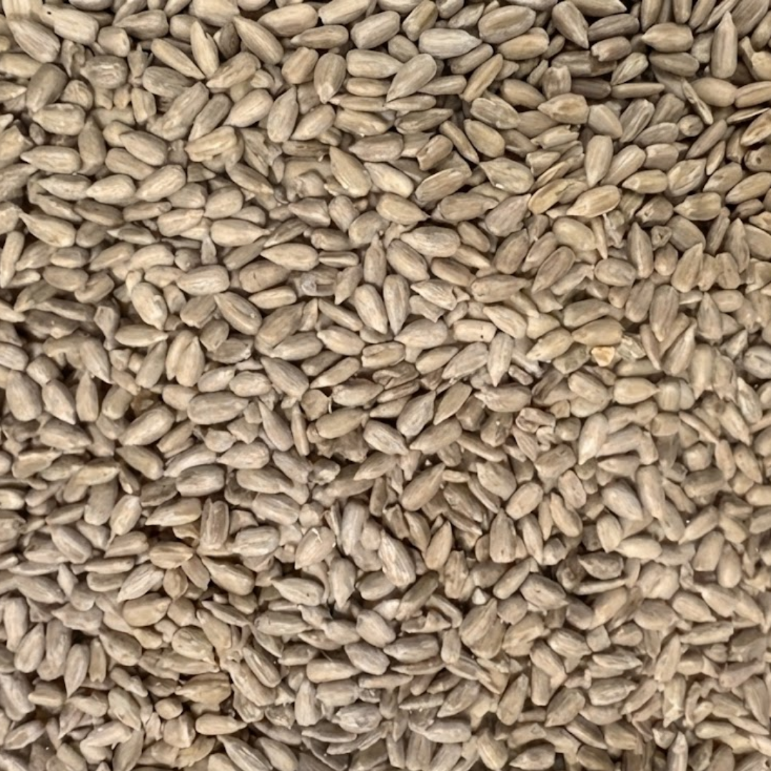 Vogelmix Gepelde zonnepitten 20kg