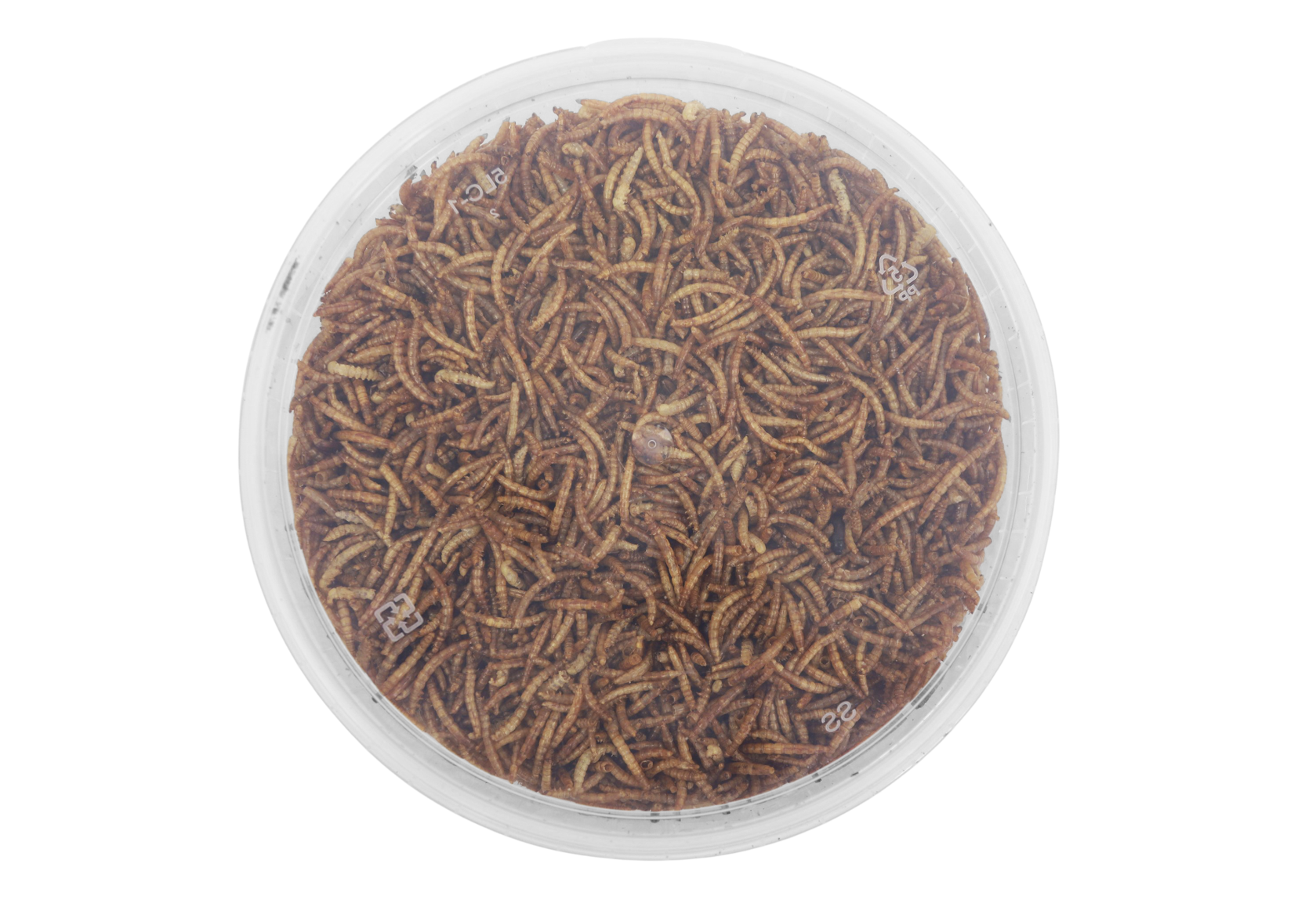 Famiflora gedroogde meelwormen 850 g = ± 5L in hersluitbare emmer - voor tuinvogels