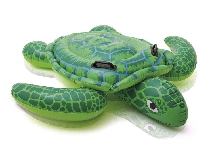 lil-sea-turtle-ride-on-ages-3-