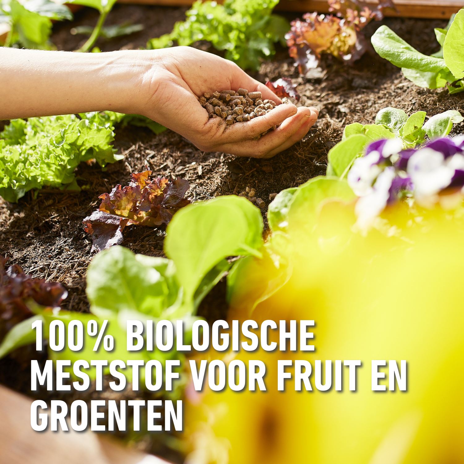 Compo-bio-meststof-fruit-groenten-3-5kg