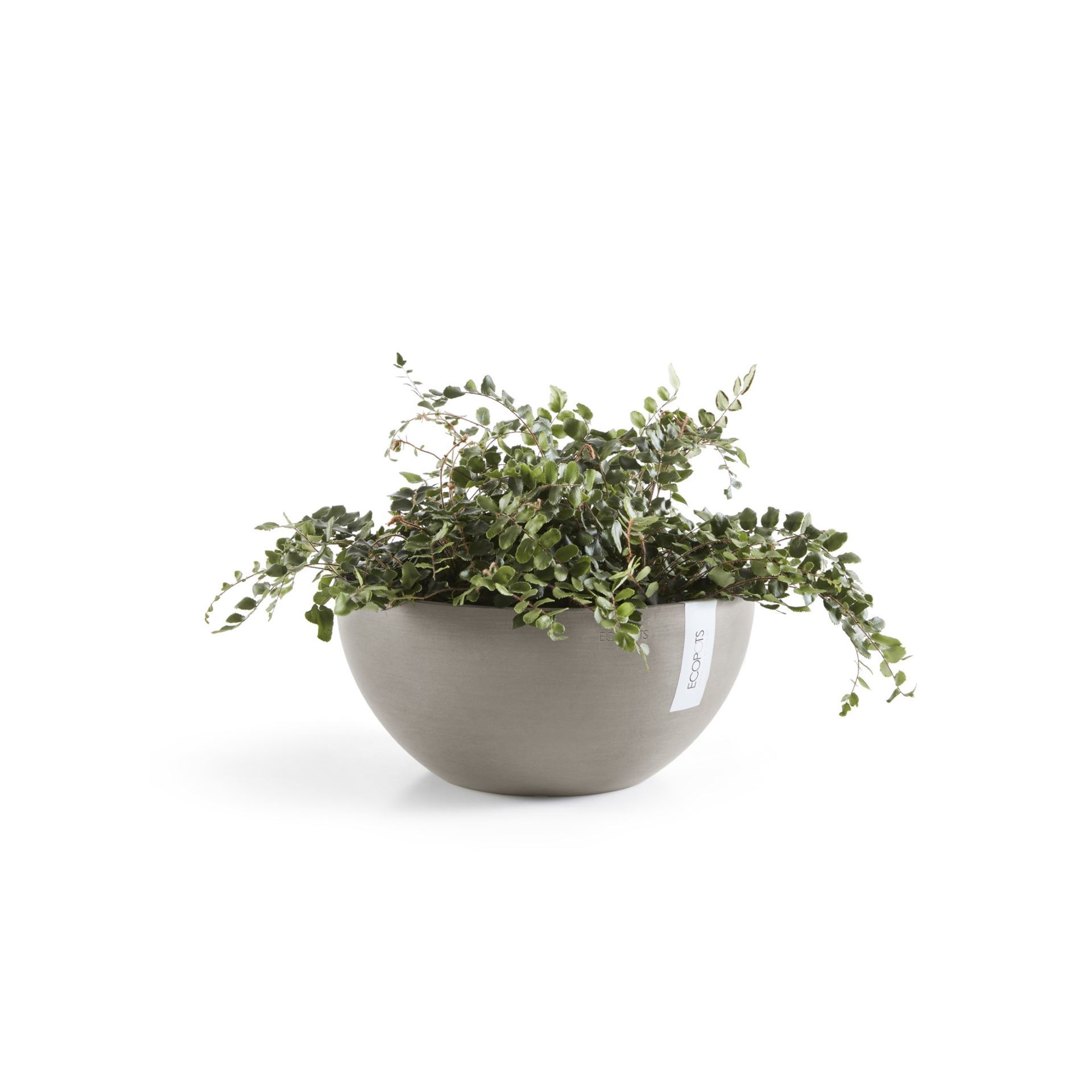 Ecopots-brussels-taupe-25-cm-H12-cm
