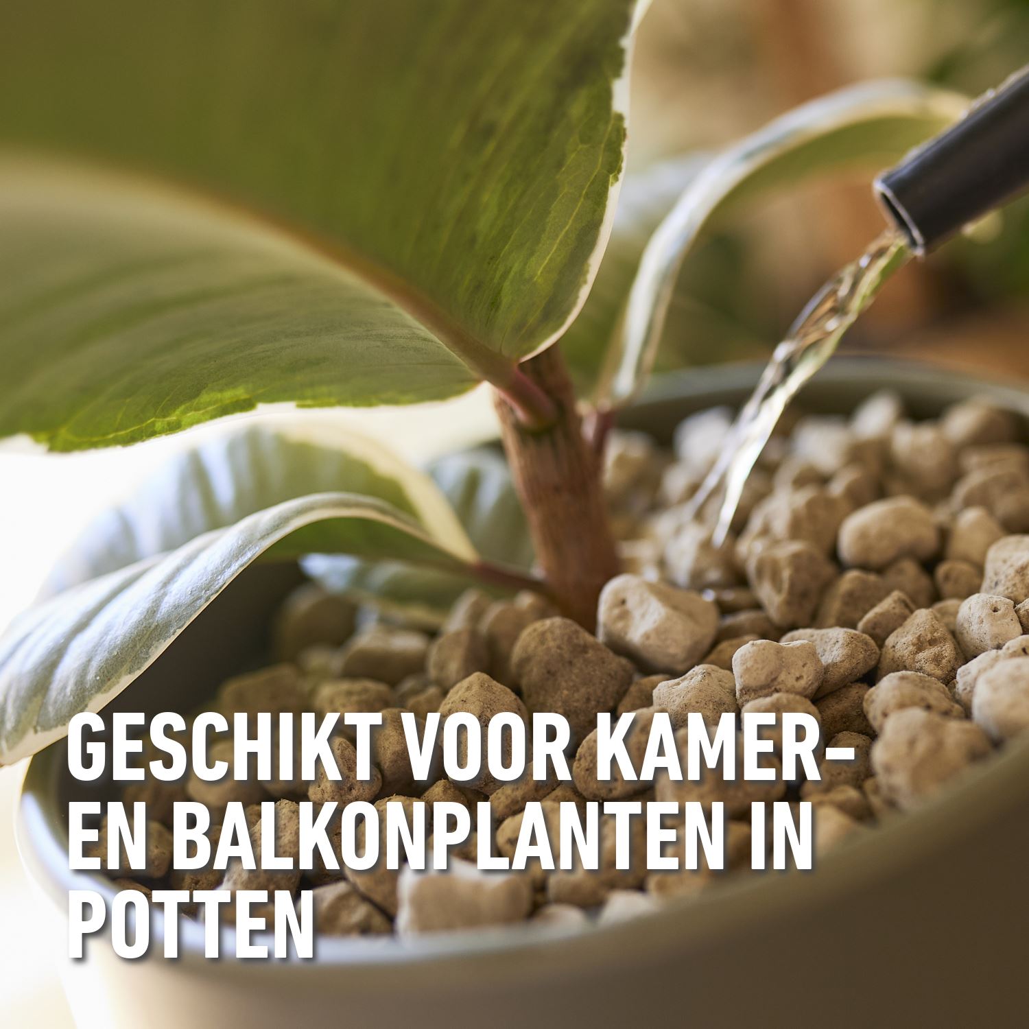 granuplant-puimsteen-korrels-10L-hydrokorrels