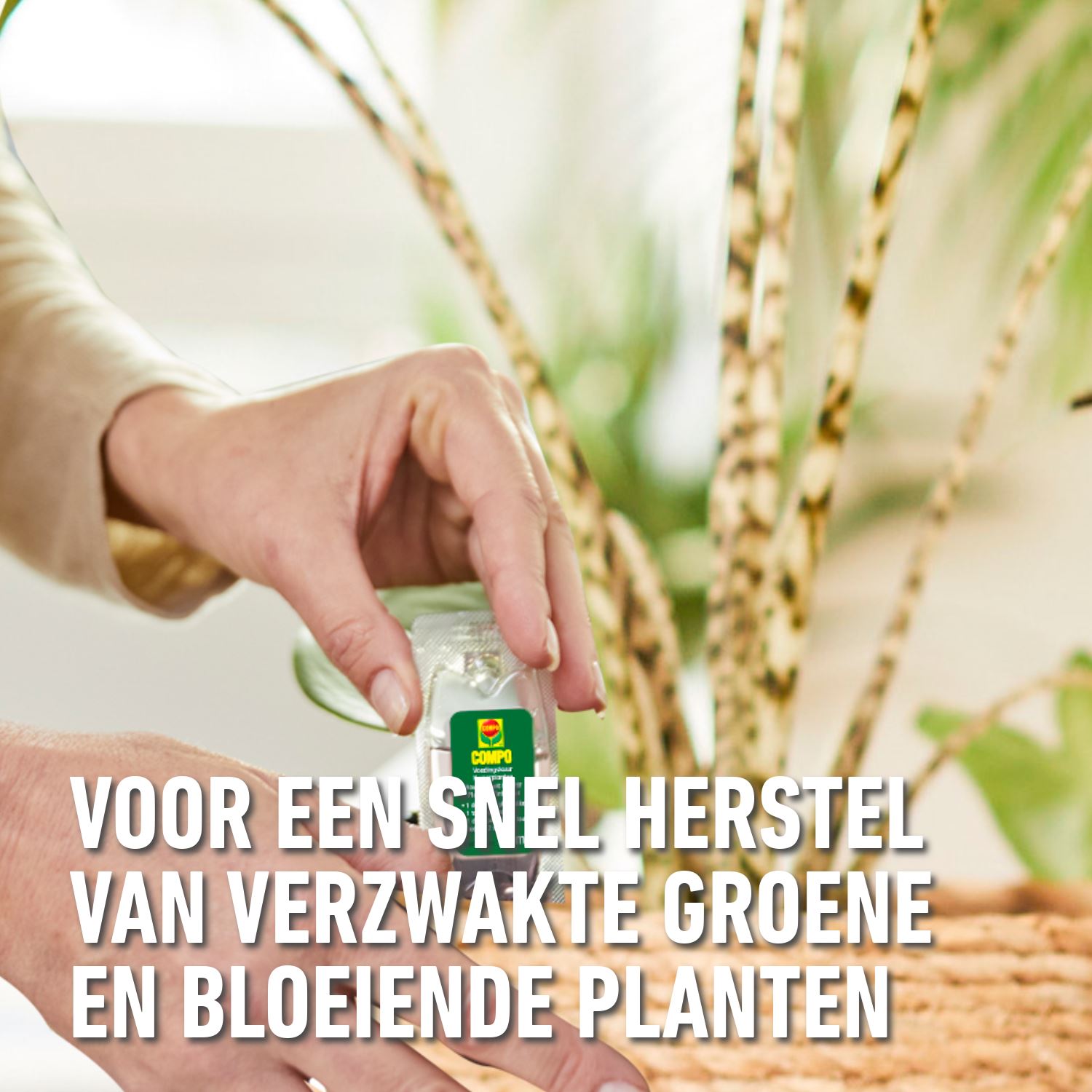 Compo-herstelkuur-kamerplanten-150ml-5x30ml-