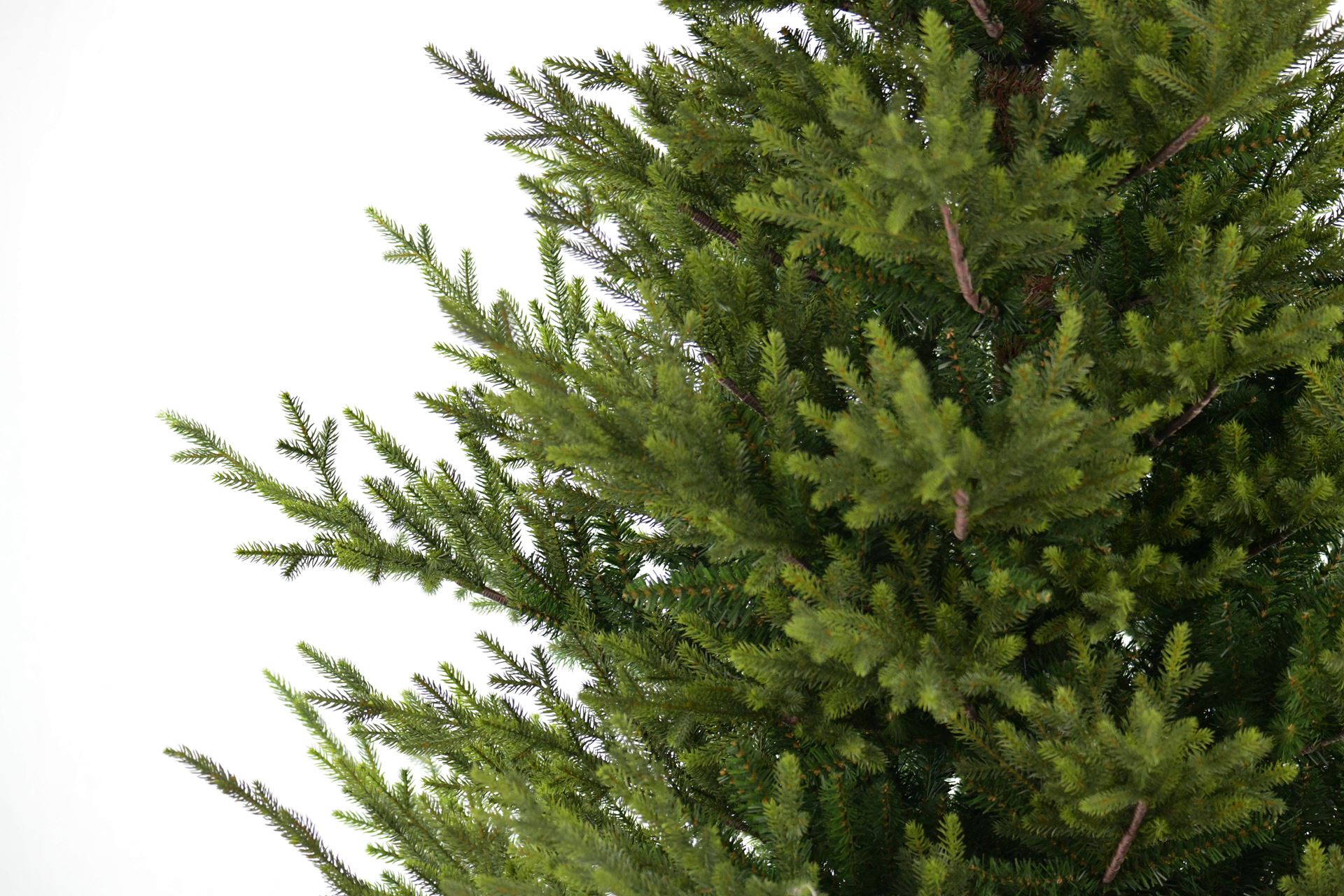 Sami-Mountain-Spruce-Wood-DB-Base-213cm-pre-shaped