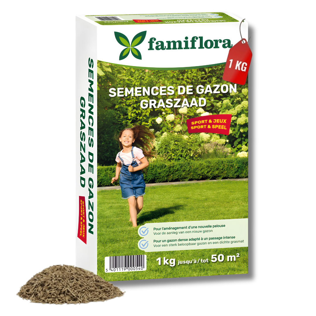 Famiflora grass seed Play & Sport - for establishing new lawn - 1kg up to 50m²