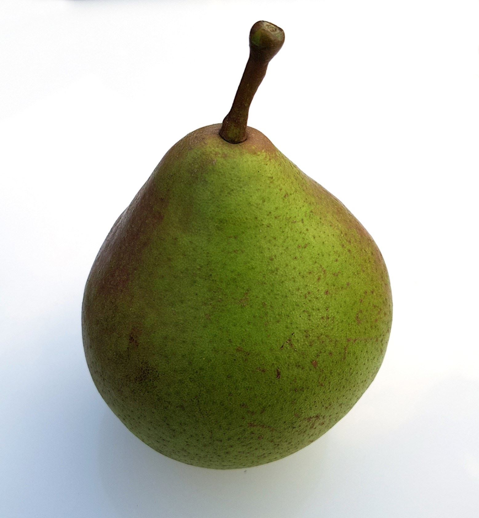 Plantenfiche-Pyrus-communis-Charneux-Kostliche-von-Charneu-