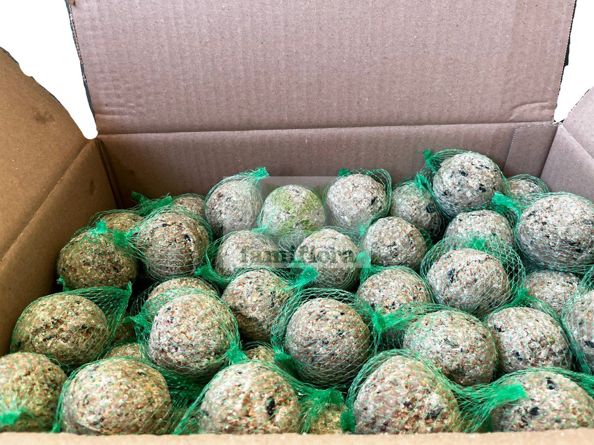 Famiflora boules de suif avec filet - Nourriture pour oiseaux - 100 boules à 90 g