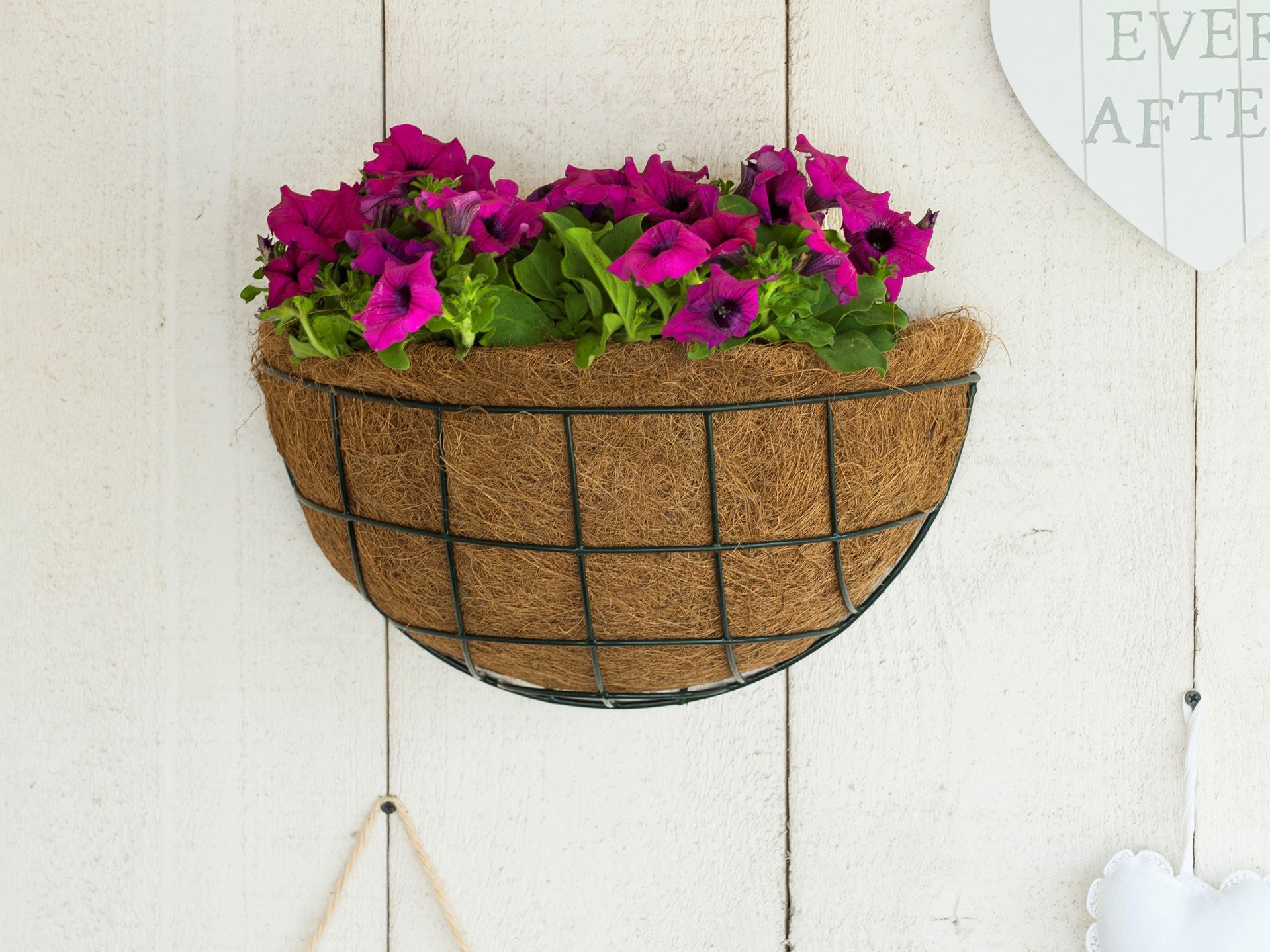 Hanging-basket-metaaldraad-groen-geepoxeerd-H17x-35cm