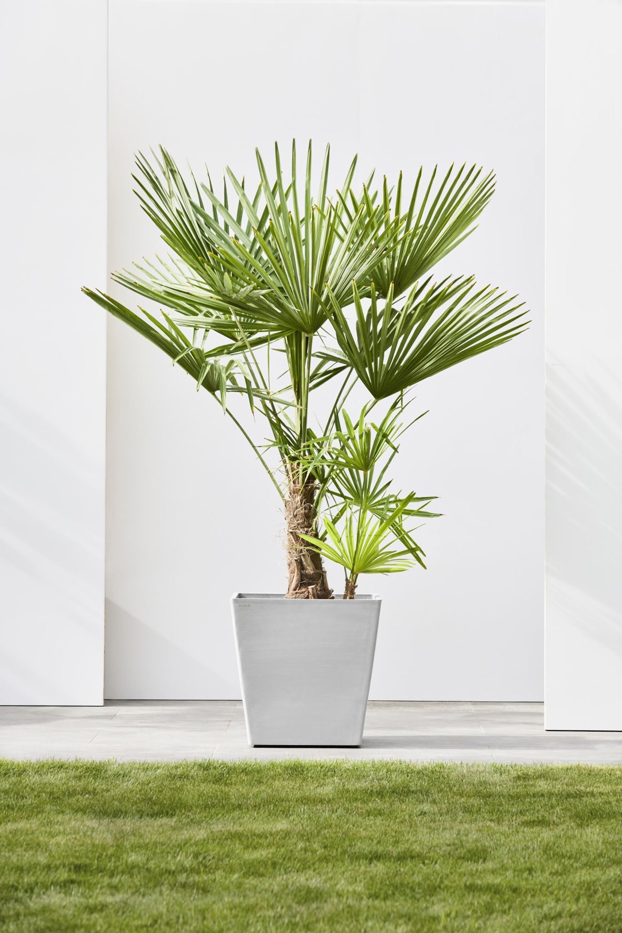 Ecopots-rotterdam-wheels-white-grey-LBH-50x50x50-cm-incl-waterreservoir-2-wielstops