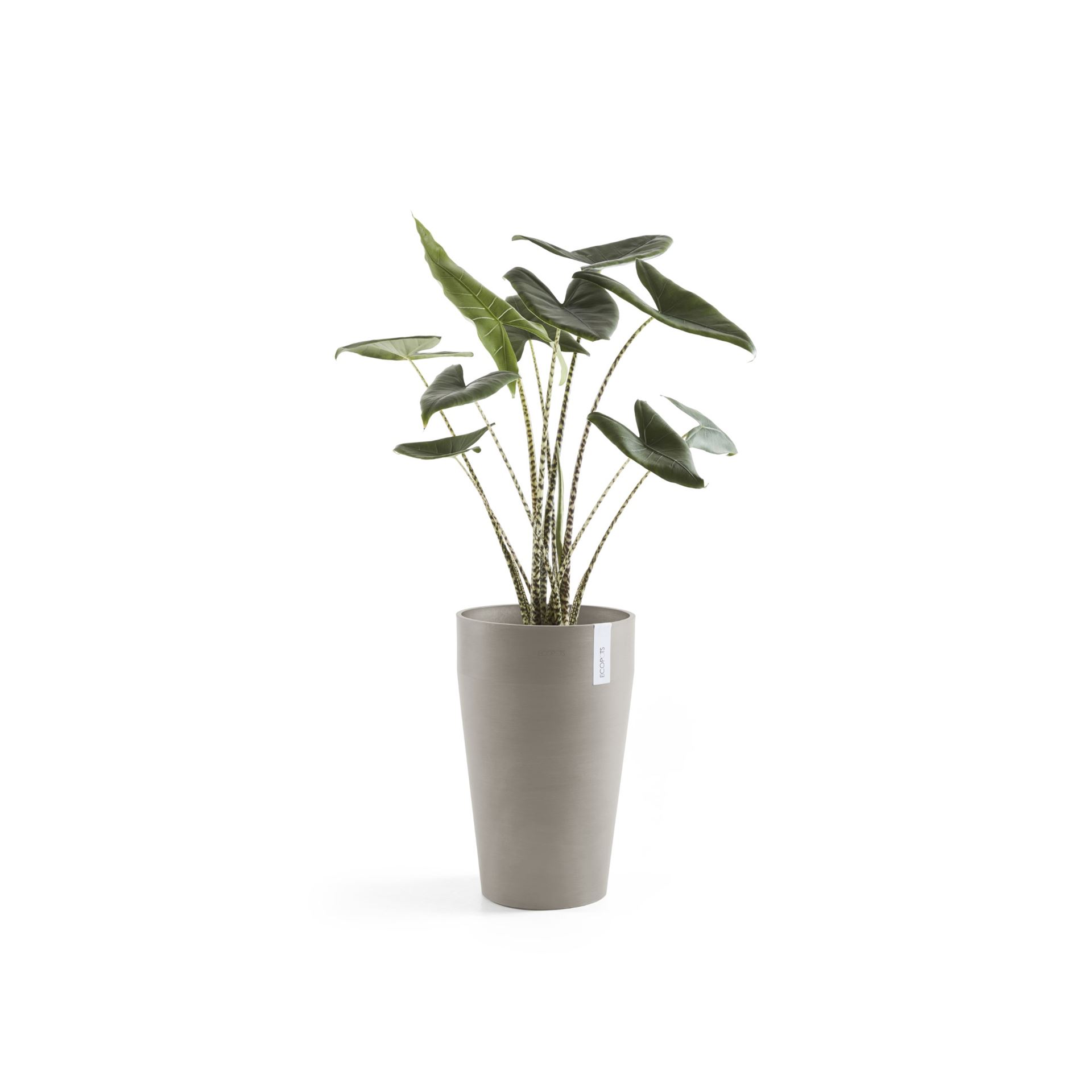 Ecopots-sankara-high-taupe-35-cm-H55-cm