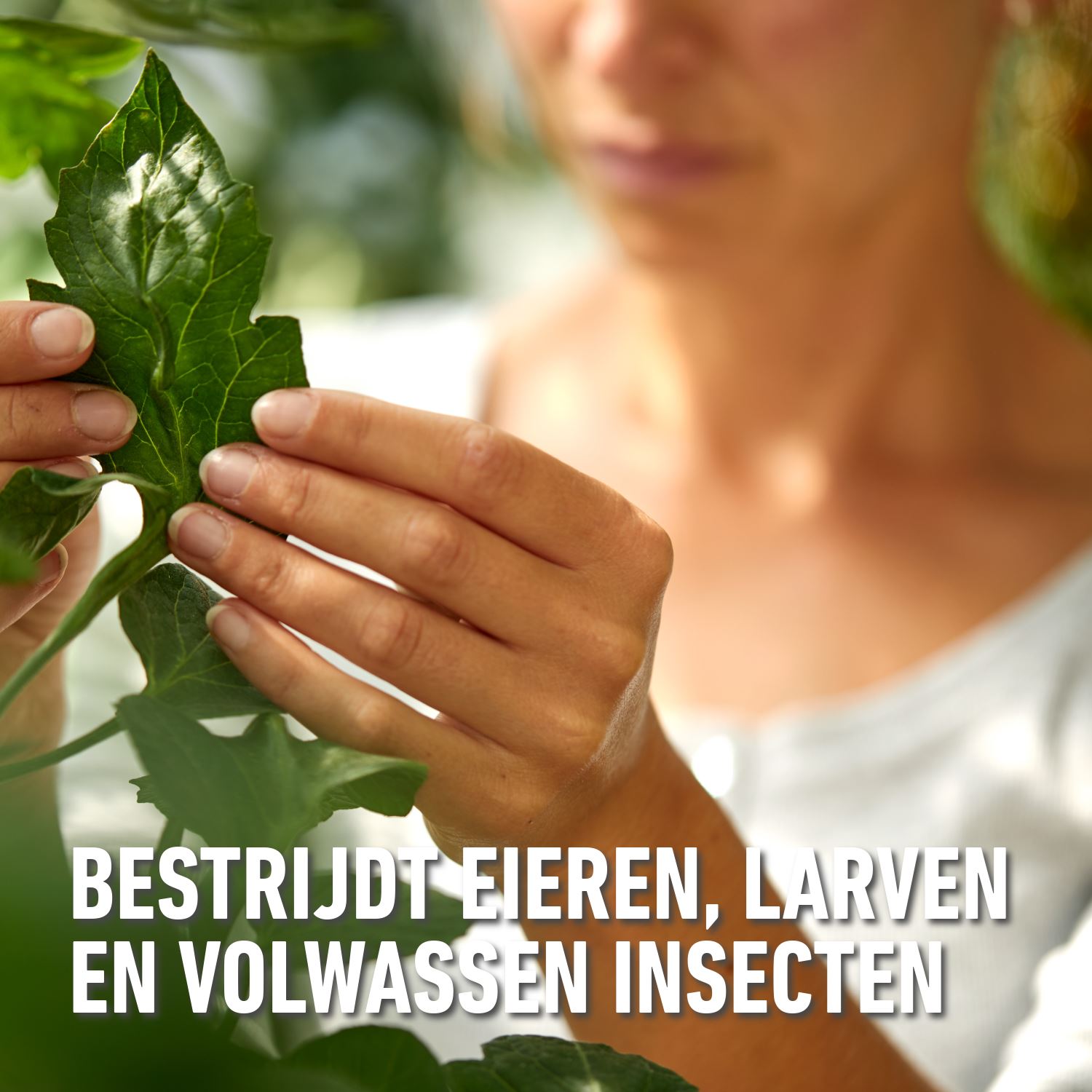 Compo-bio-insect-stop-groenten-fruit-kruiden-spray-750ml