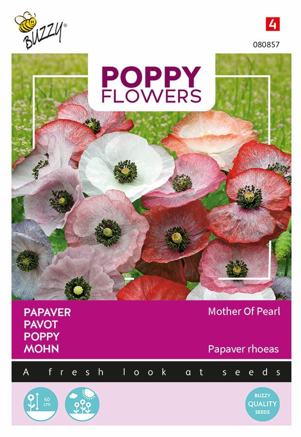 Buzzy-Poppies-of-the-world-Papaver-Mother-of-Pearl-
